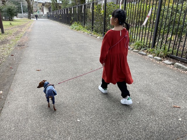 遠隔気功研究所のお役立ち情報