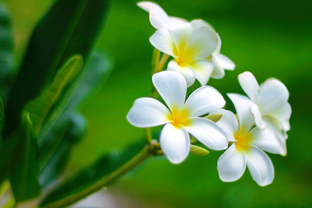 遠隔気功研究所のお役立ち情報